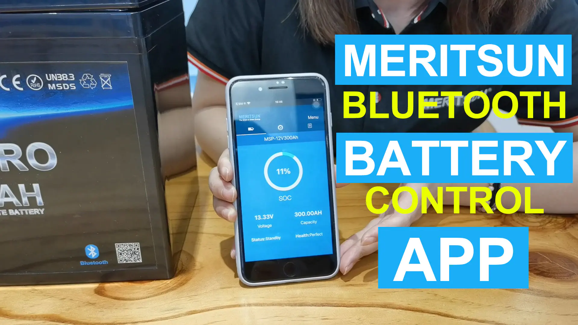 Meritsun 12V/24V LiFePO4 Battery With Bluetooth Control APP