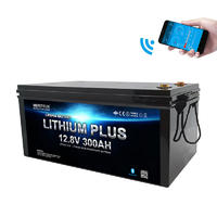 Deep Cycle Battery Solar 12V 300Ah Lifepo4 Batterie 12v Lithium ion Battery With Bluetooth