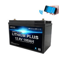 Solar Lithium Deep Cycle Lifepo4 Battery 12v 100ah Lithium Iron Phosphate Battery Pack  with bluetooth