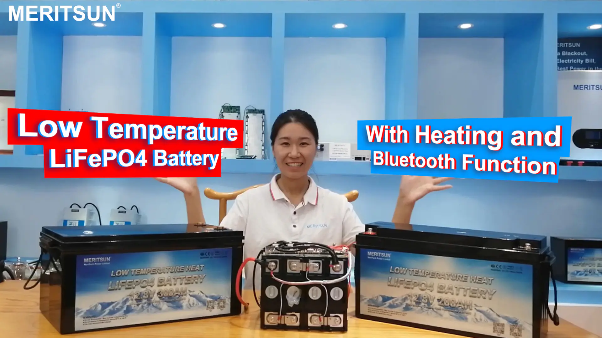 MeritSun Low temperature lithium battery with heating and Bluetooth function