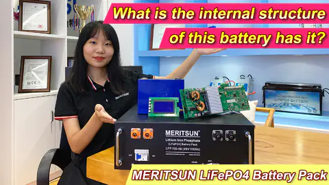 What is the internal structure of this battery has it? (MeritSun powerwall system)