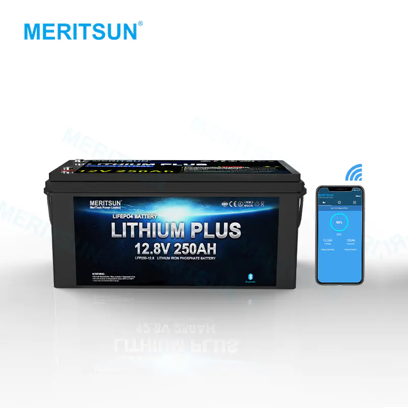 Li-ion Lifepo4 Battery Pack 24v 100ah Lithium Battery Phosphate Battery cell With Bluetooth