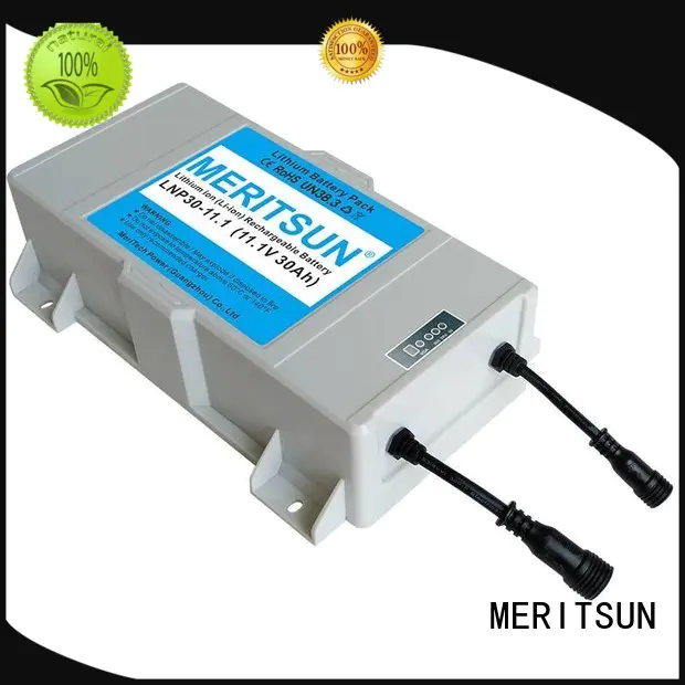 solar street light manufacturer customized for LED light MERITSUN