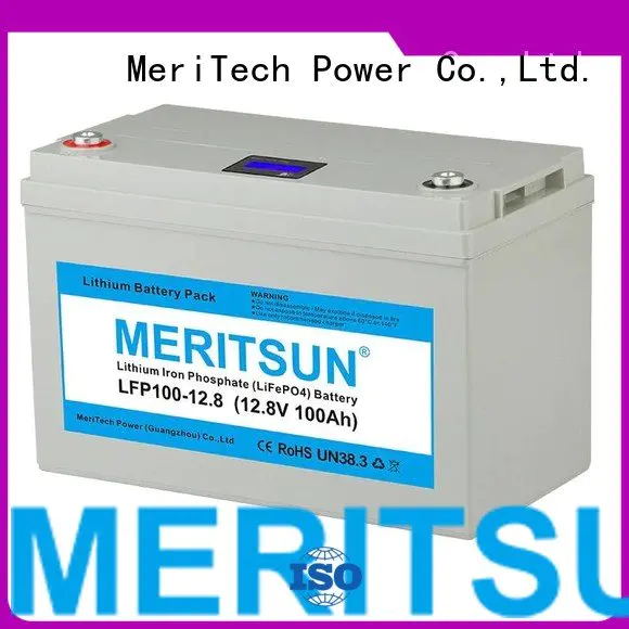 MERITSUN lifepo4 battery price polymer 24v lifepo4