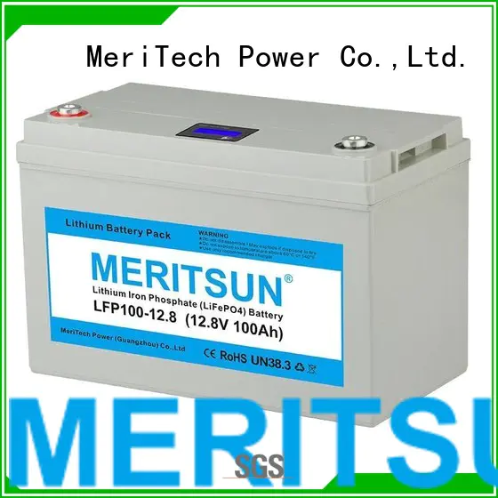 MERITSUN Brand deep ion phosphate lifepo4 battery price 256v