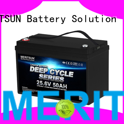 professional lifepo4 battery 48v customized for building