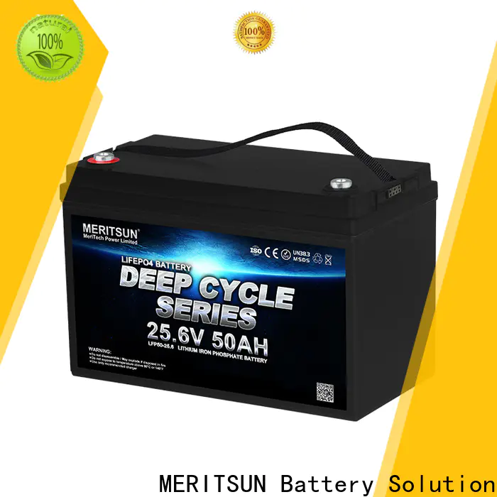 MERITSUN lifepo4 battery 48v supplier for building