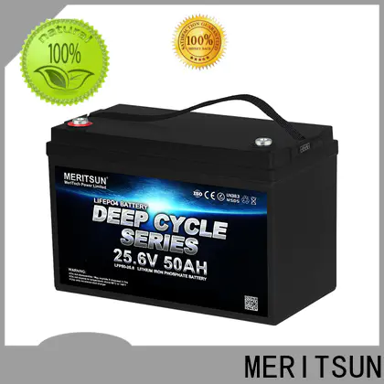 MERITSUN new lifepo4 battery 48v with good price for villa