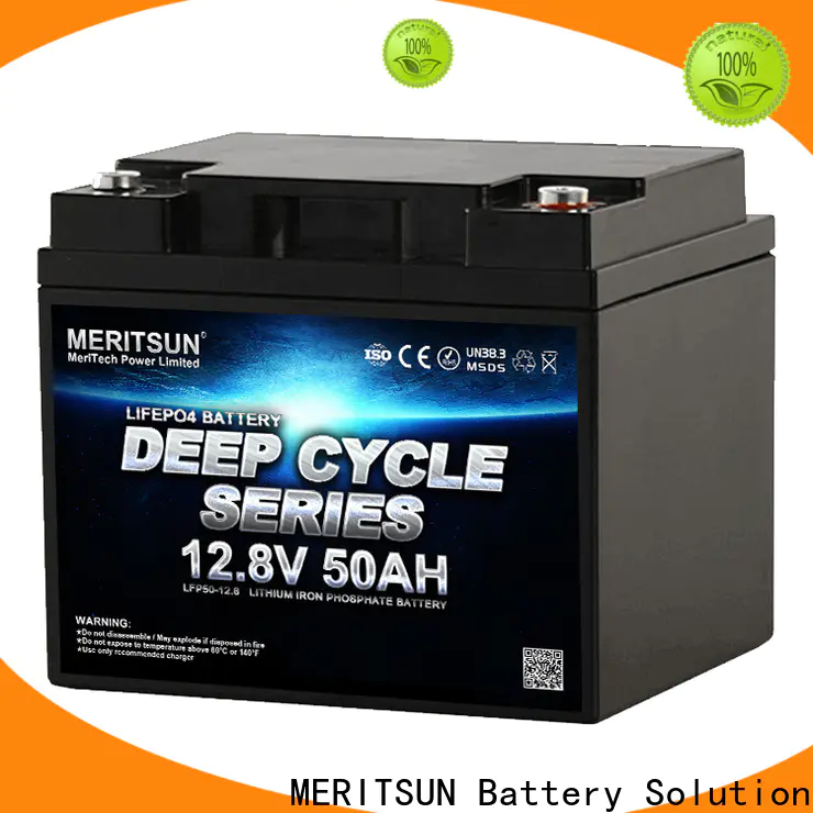 MERITSUN lifepo4 battery 12v customized for home use