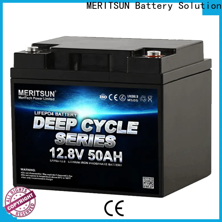 MERITSUN lithium battery manufacturers customized for building