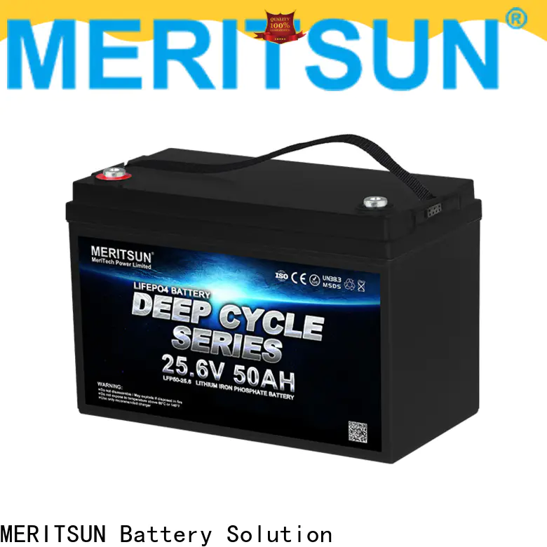 MERITSUN best lithium battery customized for home use