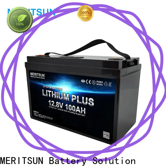 MERITSUN lithium iron battery customized for house