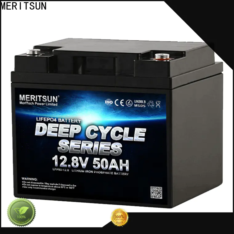 MERITSUN wholesale lifepo4 battery 48v customized for building
