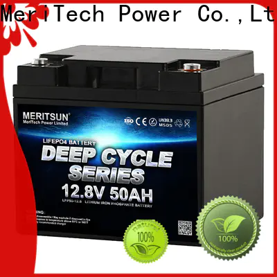 MERITSUN best lithium battery with good price for home use