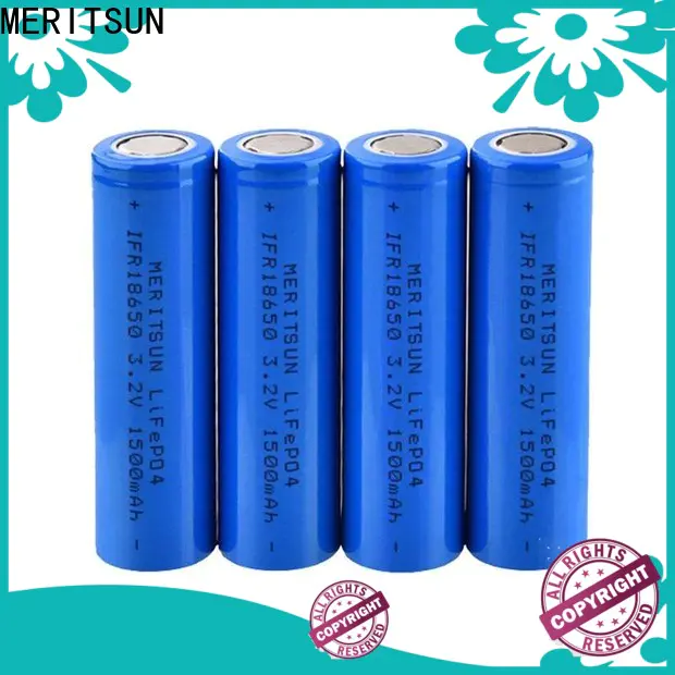 MERITSUN custom lithium ion cell factory direct supply for power bank