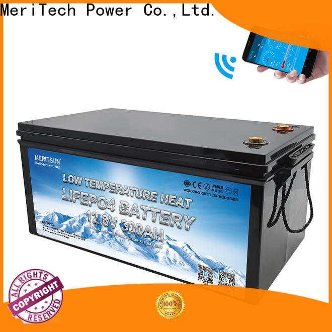 MERITSUN low temperature lithium battery company for streetlight
