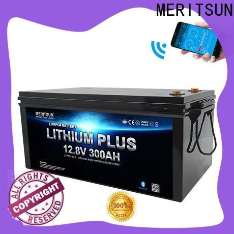 MERITSUN lithium battery with bluetooth suppliers for boat