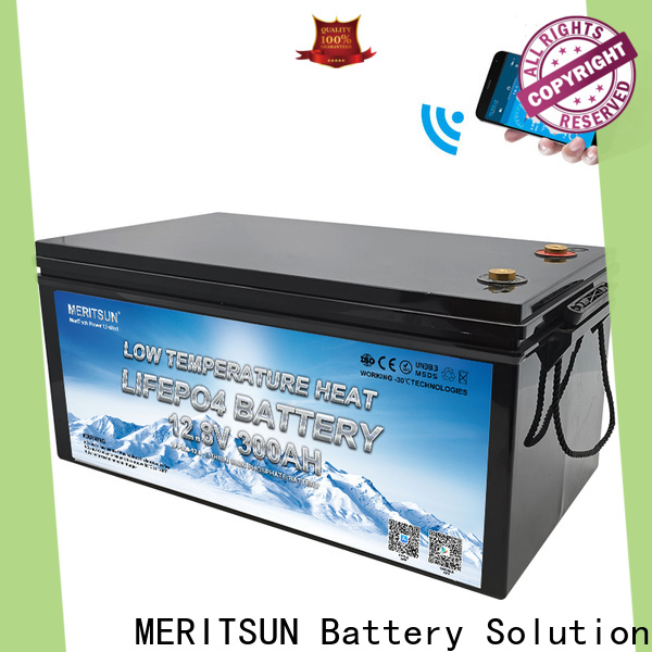 custom low temperature lithium ion battery for business for house