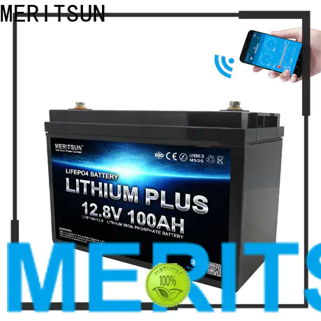 MERITSUN best lithium battery with bluetooth with good price for boat