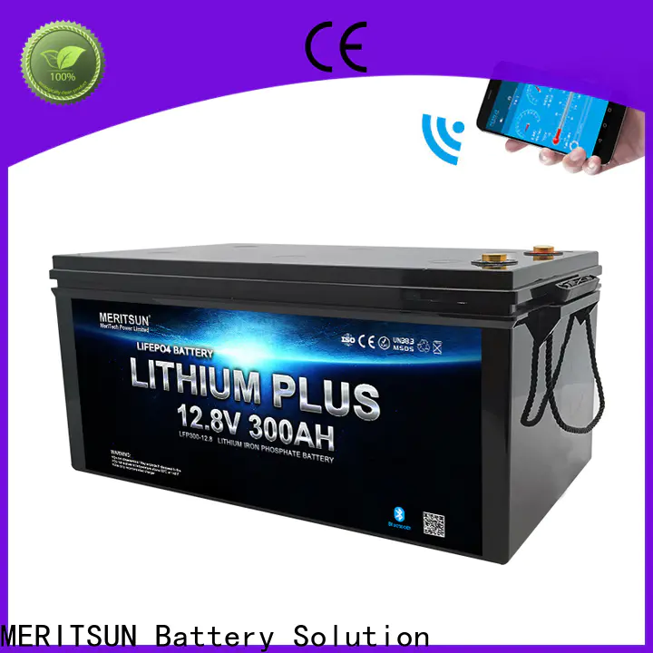 MERITSUN wholesale bluetooth lithium battery with good price for boat