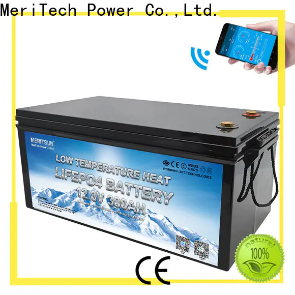 MERITSUN low temperature lithium battery supply for house