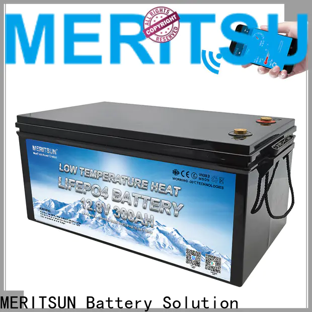 MERITSUN custom lithium battery low temperature with good price for car