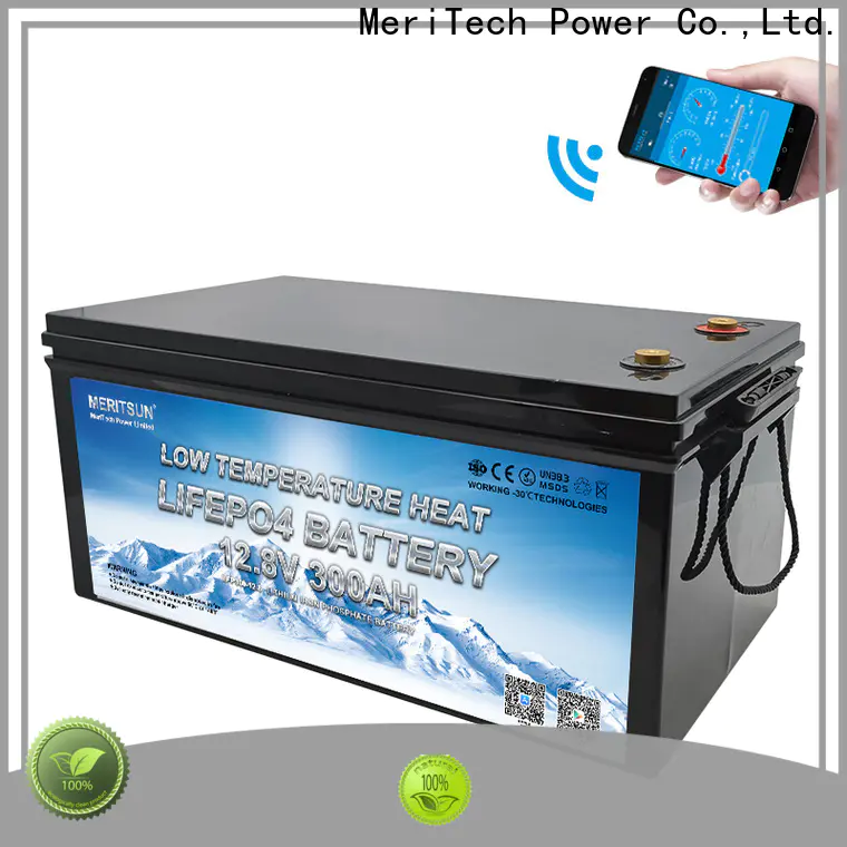 MERITSUN lithium battery low temperature with good price for robot