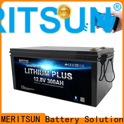 MERITSUN top lithium battery with bluetooth factory for boat