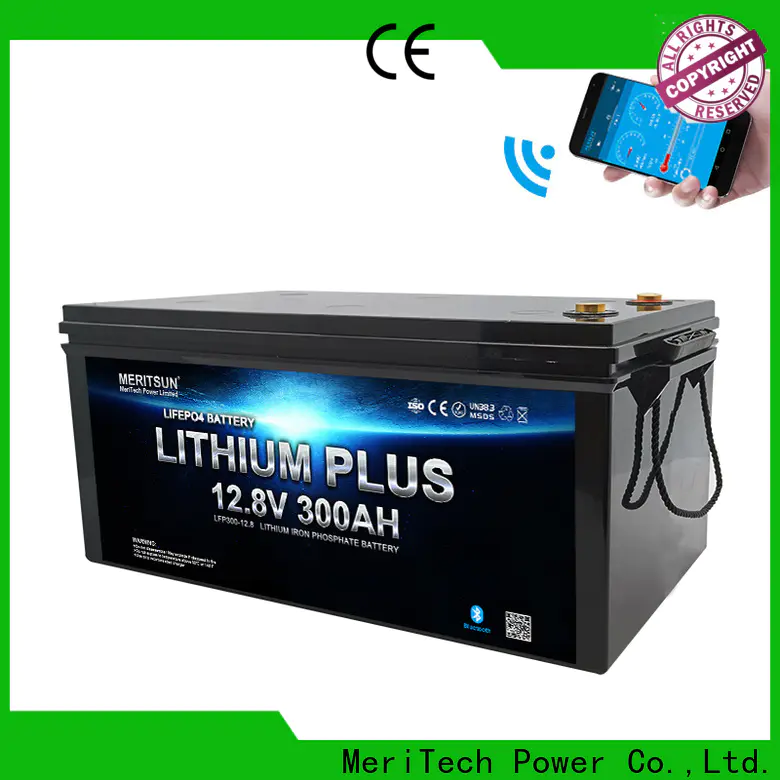 MERITSUN bluetooth lithium battery with good price for boat