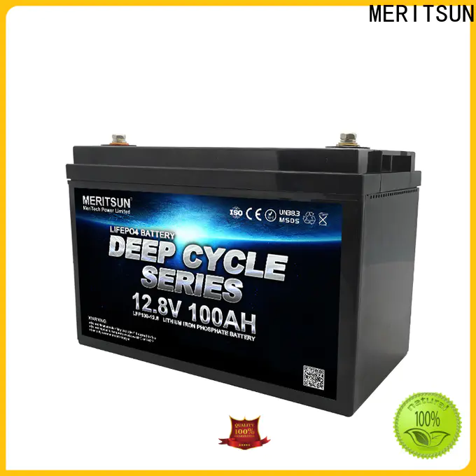 MERITSUN custom lifepo4 battery 12v supplier for villa