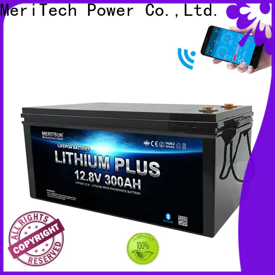 MERITSUN latest bluetooth lithium battery supply for boat