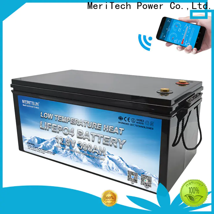 MERITSUN lithium battery low temperature supply for streetlight