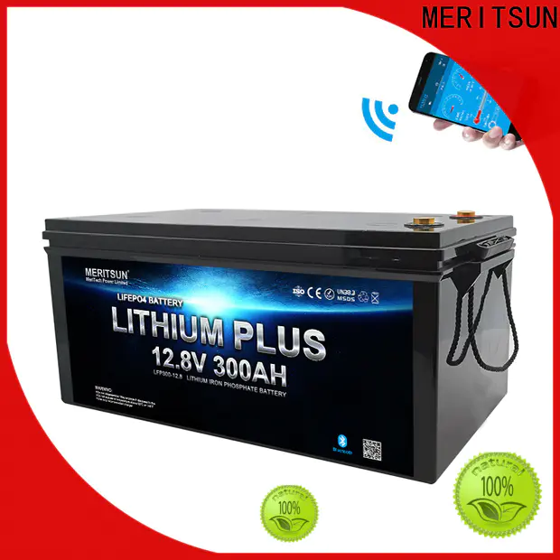 MERITSUN lithium battery with bluetooth company for robot