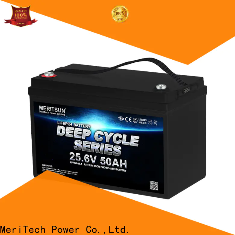 custom lithium iron battery customized for home use