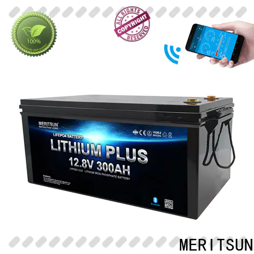 MERITSUN custom bluetooth lithium battery manufacturers for boat