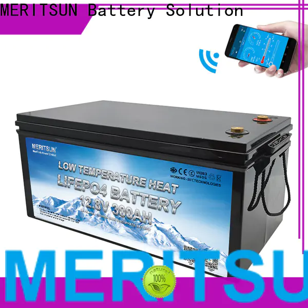 MERITSUN top low temperature lithium battery manufacturers for car