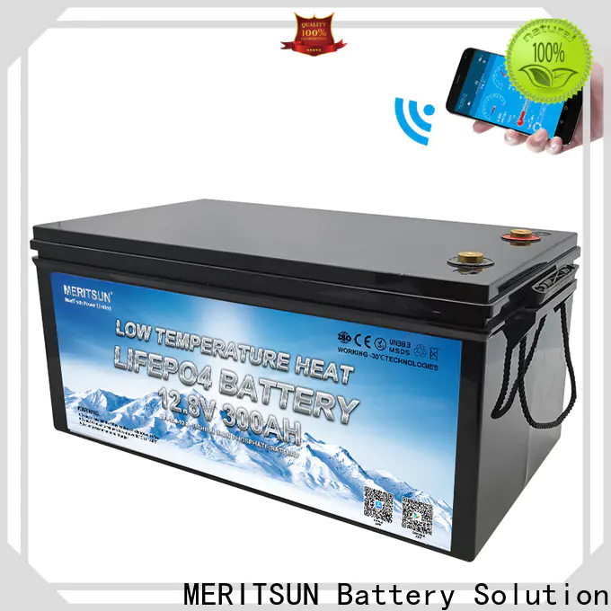 top lithium battery low temperature manufacturers for house
