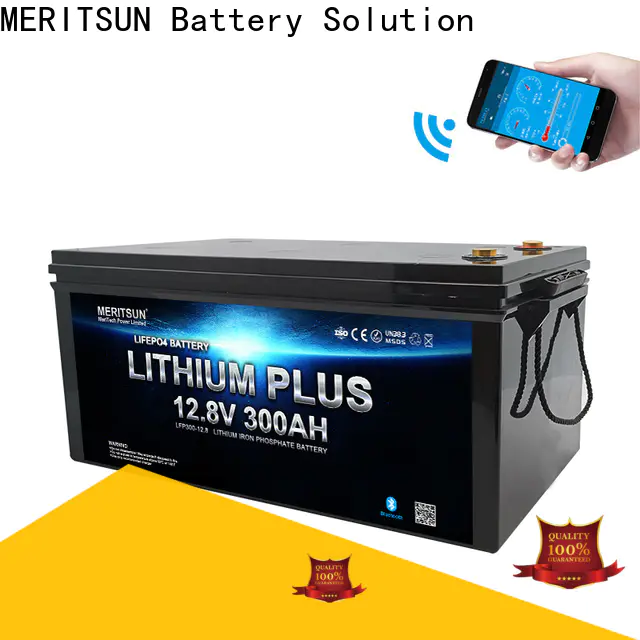 MERITSUN lithium battery with bluetooth manufacturers for boat