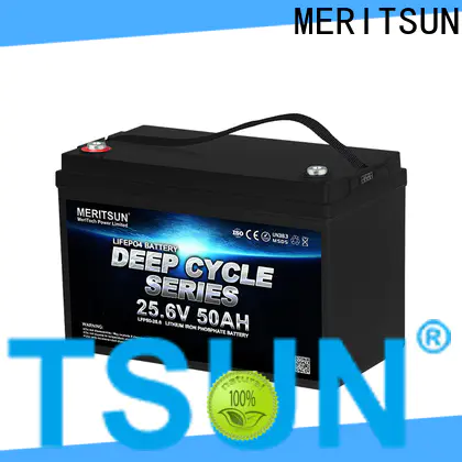 MERITSUN high-quality lithium ion rechargeable battery series for home use