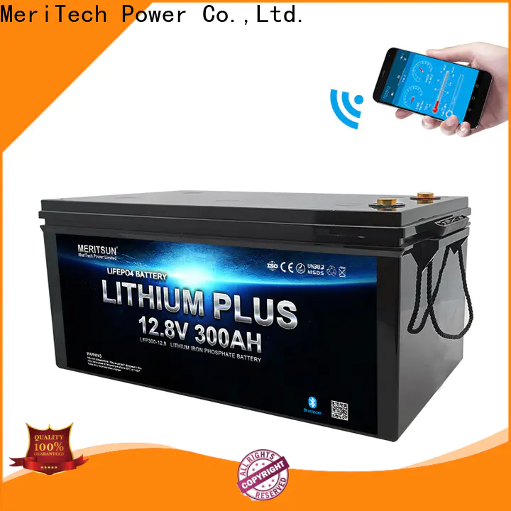 MERITSUN top lithium battery with bluetooth company for boat