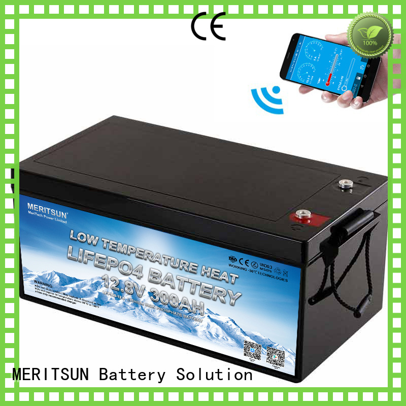 MERITSUN top low temperature li-ion battery factory for house
