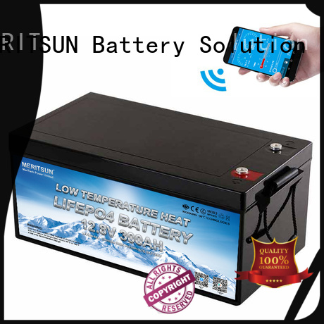 MERITSUN high-quality low temperature lithium battery supply for car