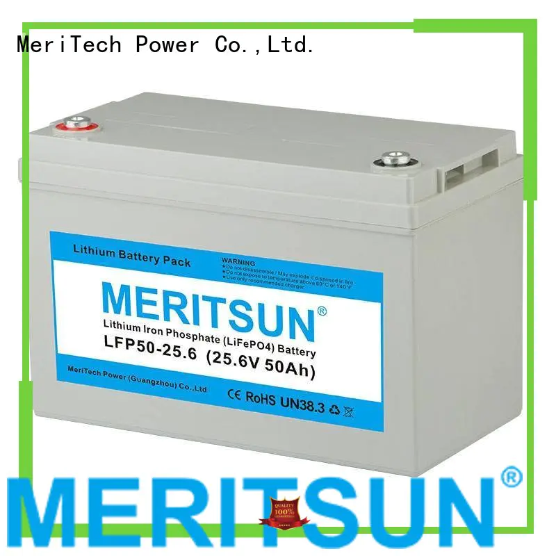 2000 cycles lifepo4 battery price battery MERITSUN company