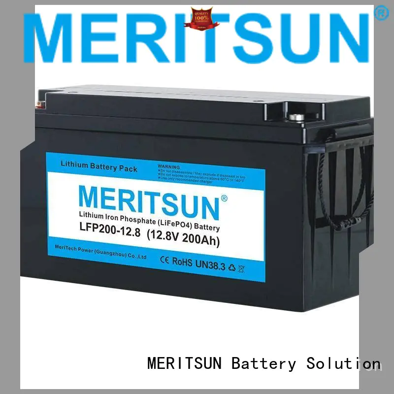 iron phosphate ion OEM lifepo4 battery MERITSUN