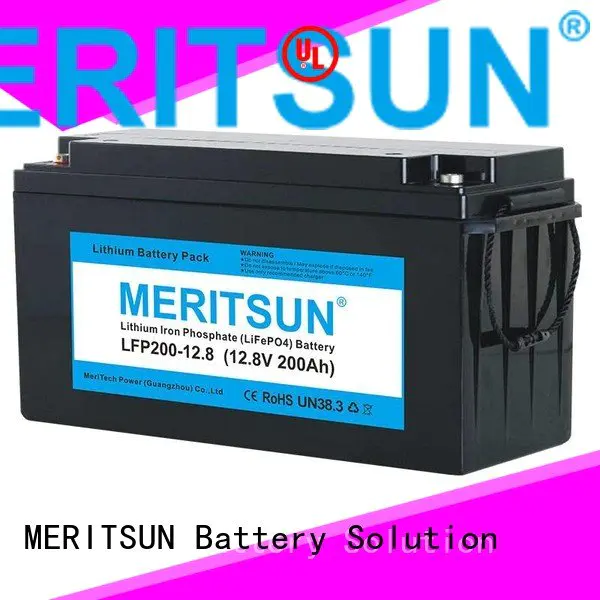 MERITSUN Brand control 24v ion lifepo4 battery price