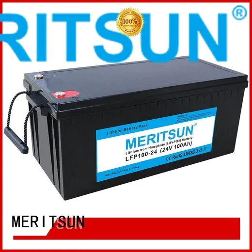 liion lipo MERITSUN lifepo4 battery price
