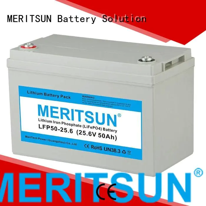 MERITSUN Brand 100ah lifepo4 battery price liion 200ah
